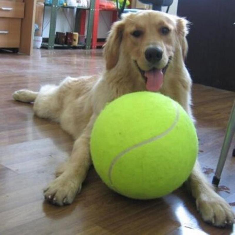 9-5Inch-Dog-Tennis-Ball-Giant-Pet-Toys-for-Dog-Chewing-Toy-Signature-Mega-Jumbo-Kids