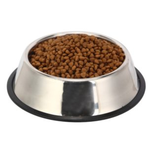 Stainless Steel Bowls for Dogs + Anti Slip Pad