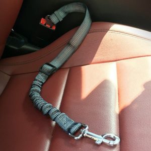 Seat Belt Dog Leash