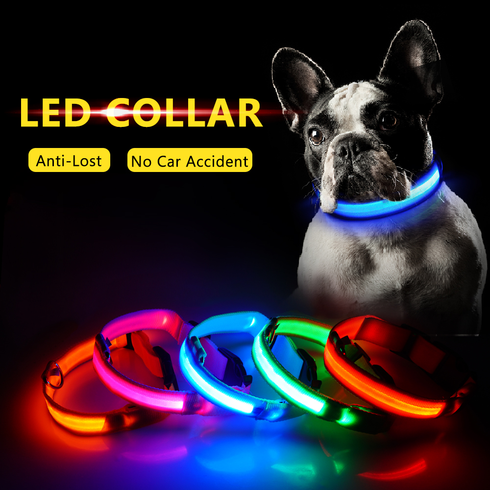 USB-Charging-Led-Dog-Collar-Anti-Lost-Avoid-Car-Accident-Collar-For-Dogs-Puppies-Dog-Collars