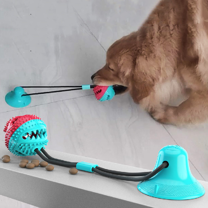 dog suction pull toy
